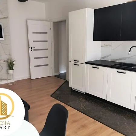 Apartament Szary Tychy Esterno foto